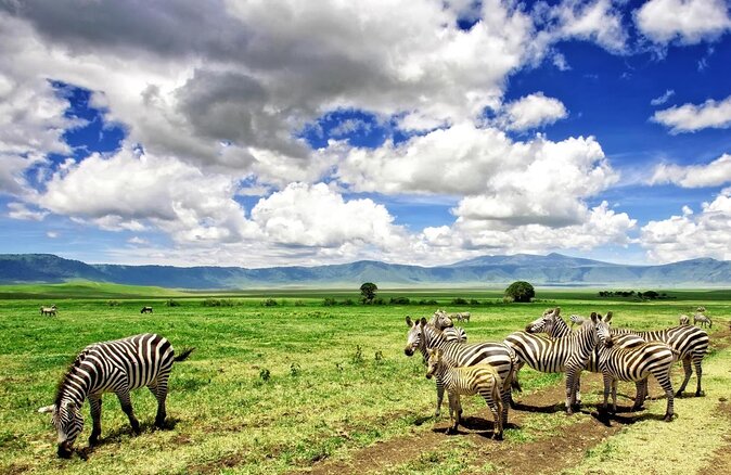 12 days Luxury Tanzania Honeymoon Safari and Zanzibar - Key points at a glance