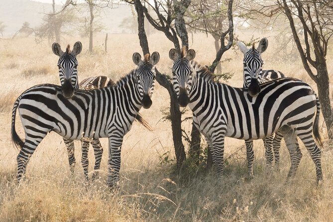 12 days Luxury Tanzania Honeymoon Safari and Zanzibar - Zanzibar changes the pace completely