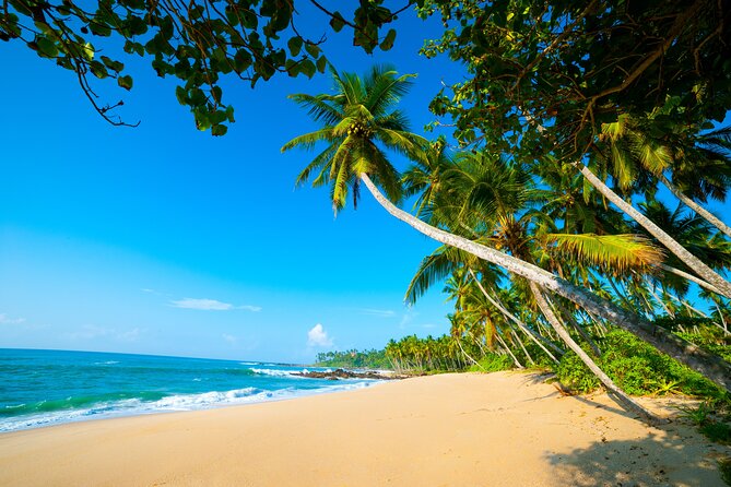 14 Days Tour in Sri Lanka - Fortnight Expedition with Luxury Hotels - Sigiriya and Polonnaruwa reveal Sri Lanka’s ancient center