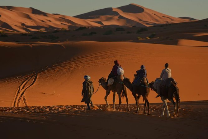 2 Day Desert Tour from Fez with Camel ride Overnight luxury Camp - Key points to know before booking