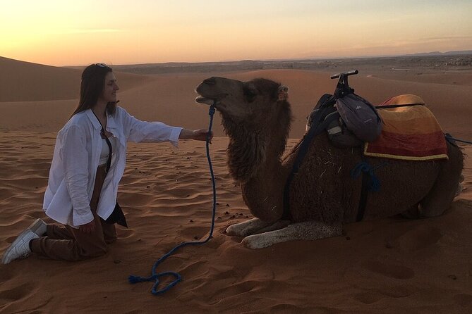 2 Day Luxury Desert Tour from Fes to Fes or Marrakech - Rissani, Erfoud, and the turn toward the dunes