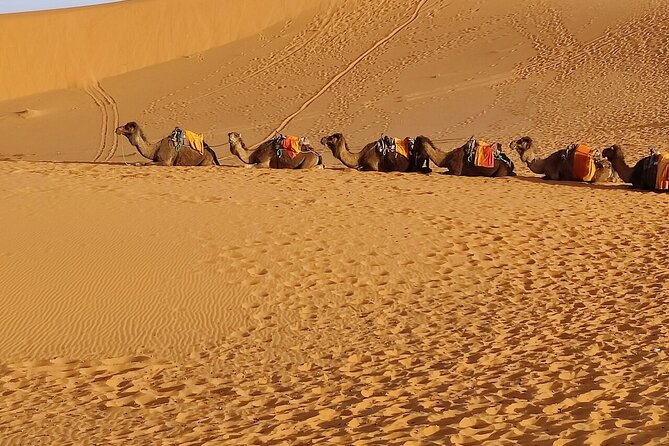 2 Day Luxury Desert Tour from Fes to Fes or Marrakech - Arriving at Erg Chebbi by camel