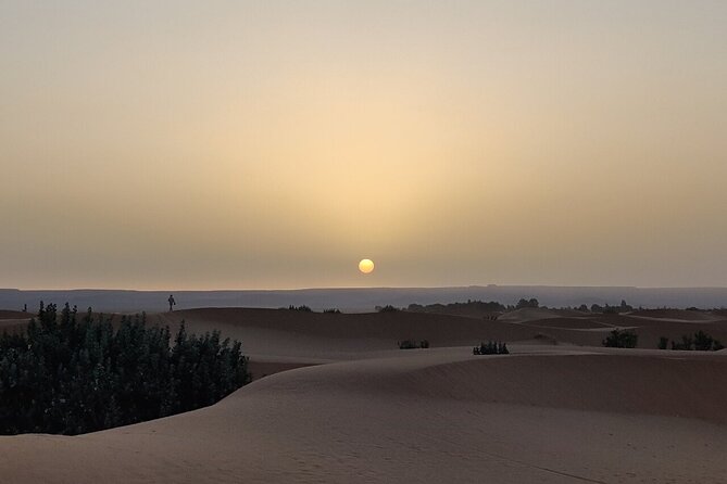 2 Day Luxury Desert Tour from Fes to Fes or Marrakech - Communication can shape the whole experience