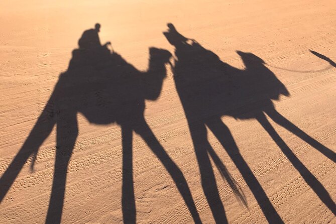 2-Days Desert Tours from Fes with Overnight in Luxury Camp - Camel riding into Erg Chebbi at sunset