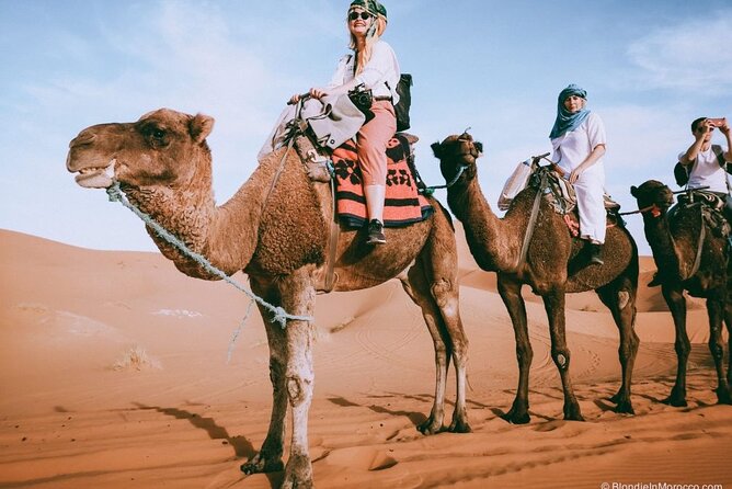 2 days luxury desert trip [fes to fes or marakech] - Ifrane gives the first taste of the Middle Atlas