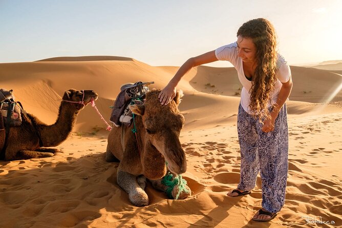 2 days luxury desert trip [fes to fes or marakech] - The long road to Merzouga