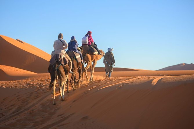 3-Day Luxury/Budget Desert Tour to Marrakech via Merouga from Fez - A fast crossing from Fez to the Sahara