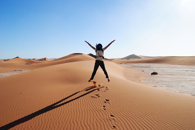 3-Day Luxury/Budget Desert Tour to Marrakech via Merouga from Fez - Day one: cedar monkeys, mountain roads, and Erg Chebbi
