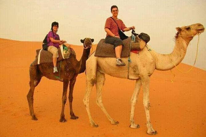3 Days Luxury Desert Tour From Fes To Marrakech via Merzouga - What the $221 price really covers