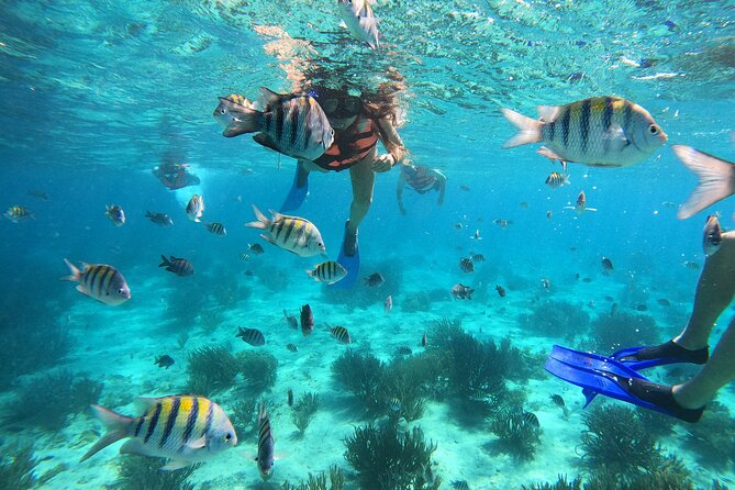 3 Hours VIP Semiprivate Tour Isla Mujeres Full Snorkeling Experience - Four reefs and one small boat