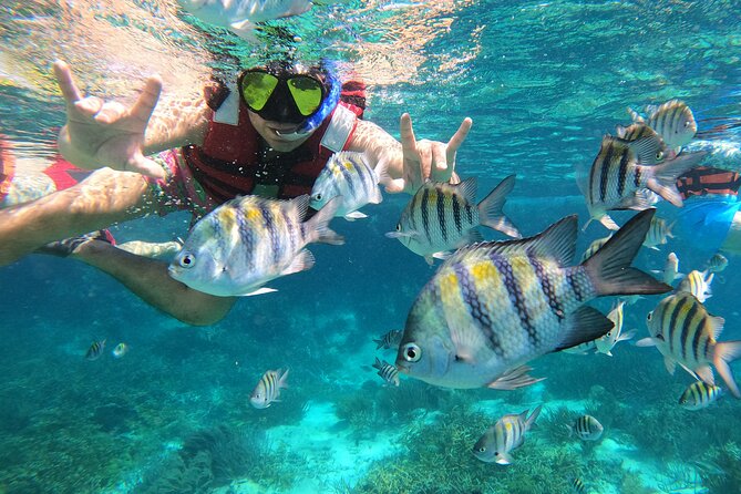 3 Hours VIP Semiprivate Tour Isla Mujeres Full Snorkeling Experience - Sac Bajo and the coral farm