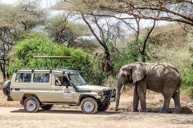 3Days luxury safari to Tarangire Ngorongoro crater and Manyara - Three parks, three different safari moods
