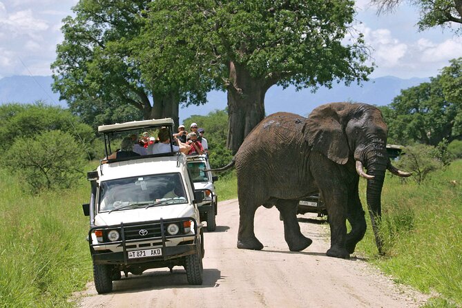 3Days luxury safari to Tarangire Ngorongoro crater and Manyara - Day 2: The Ngorongoro Crater from rim to floor