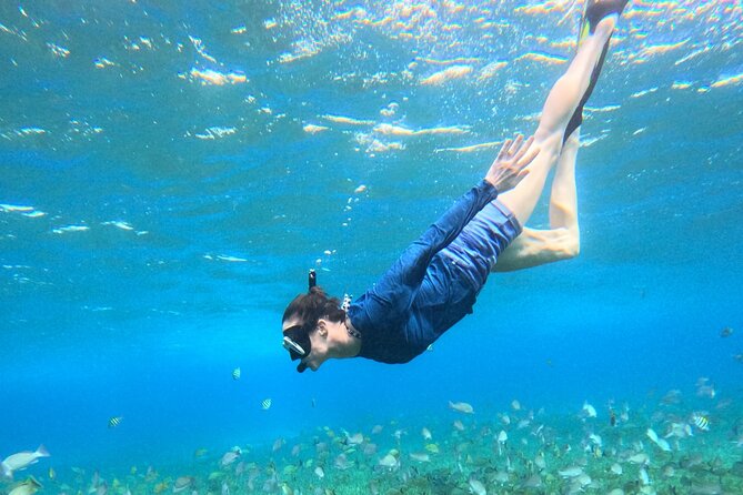 4 Hour Cozumel Turtle Sanctuary Experience on a Luxury Catamarán - El Cielo and Its Starfish Sandbank