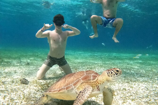 4 Hour Cozumel Turtle Sanctuary Experience on a Luxury Catamarán - Cielito: Ceviche, Rays, and Time to Unwind