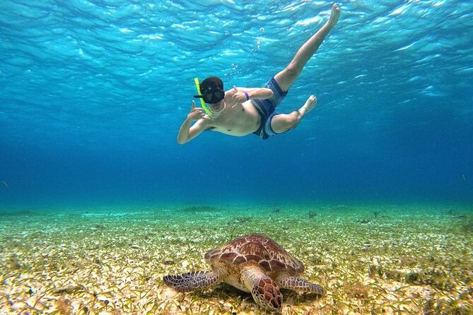 4 Hour Cozumel Turtle Sanctuary Experience on a Luxury Catamarán - Meeting Point, Pickup, and Timing