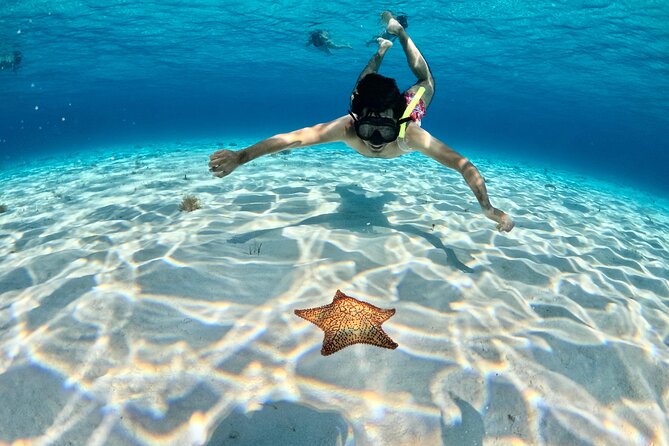 4 Hour Cozumel Turtle Sanctuary Experience on a Luxury Catamarán - Who Will Enjoy This Trip Most