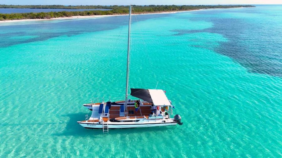 4 Hour Turtle Sanctuary Experience on a Luxury Catamarán - Snorkeling with turtles, with no promise of a sighting