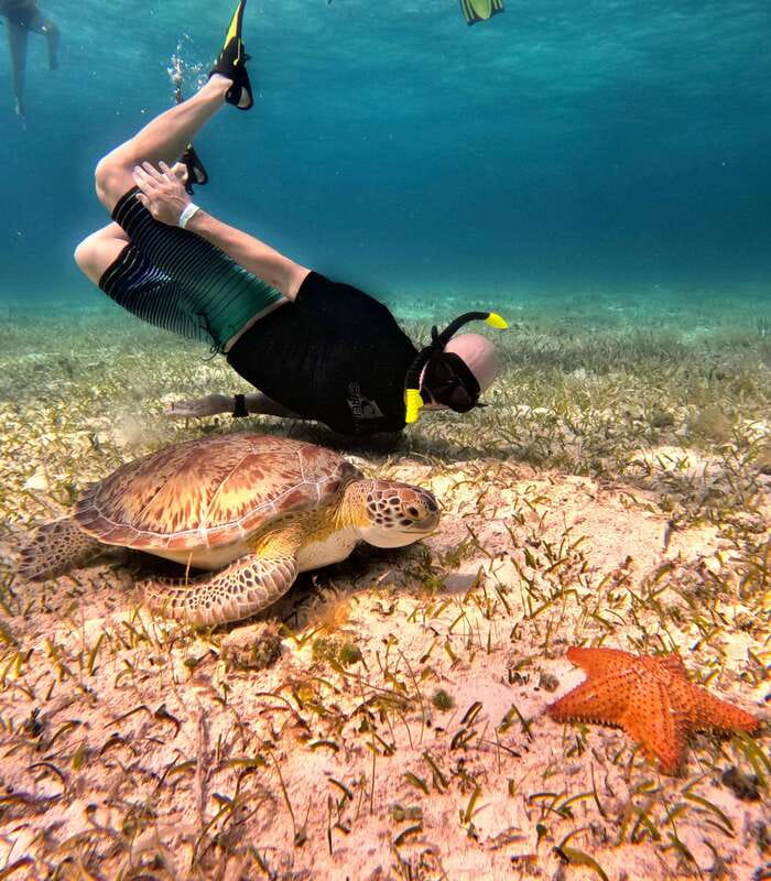 4 Hour Turtle Sanctuary Experience on a Luxury Catamarán - El Cielo and the starfish on white sand