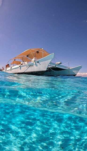 4 Hour Turtle Sanctuary Experience on a Luxury Catamarán - Cielito, the easygoing final stop