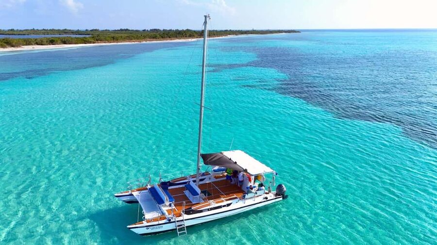 4 Hour Turtle Sanctuary Experience on a Luxury Catamarán - Starting at the monumental flagpole