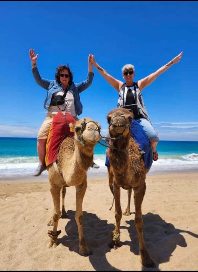 4 Hours Deluxe Guided Tour of Tangier + A tour with camels - Key points at a glance