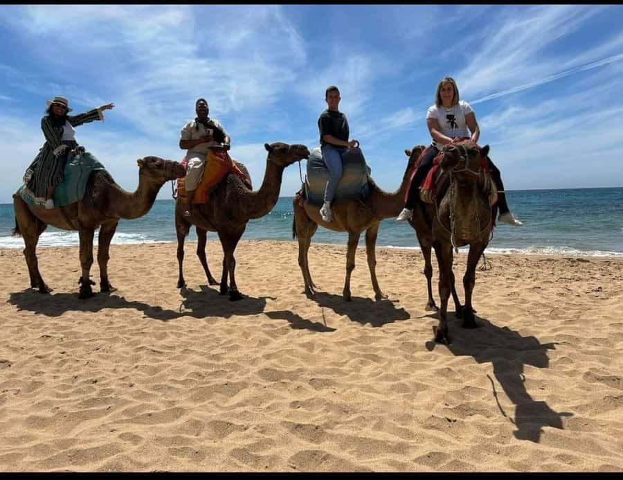 4 Hours Deluxe Guided Tour of Tangier + A tour with camels - Who gets the best value from the $84 price
