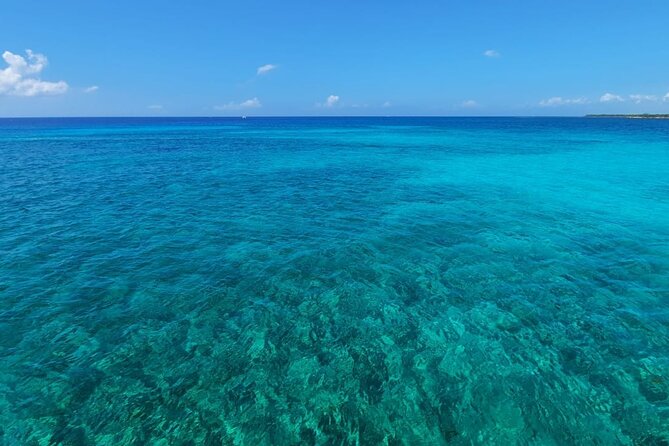 4H Luxury 44' Catamaran All-Inclusive in Tulum & Playa del Carmen - Why In-Ha reef is the main event