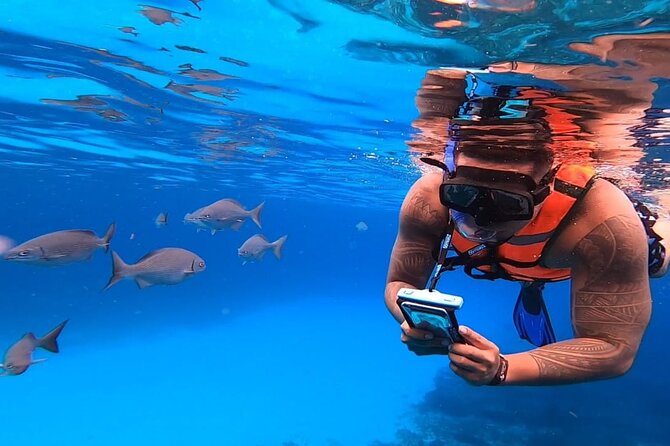 4H Luxury 44' Catamaran All-Inclusive in Tulum & Playa del Carmen - Snorkeling, fishing, or simply taking the day off