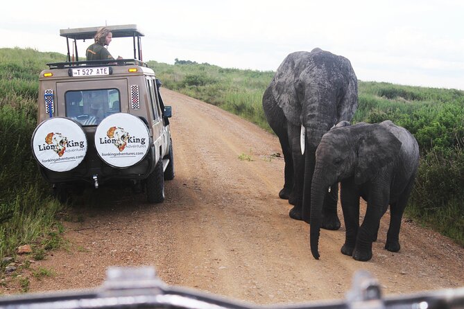 5 Days Best of Tanzania Luxury Safari Northern Circuit - Day 3: Ngorongoro’s crater floor and the road to Serengeti