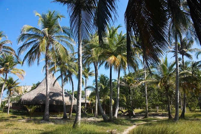 5 Islands VIP Escape : Snorkeling, Private Lunch & Open Bar - Meeting in Cartagena and getting to the boat