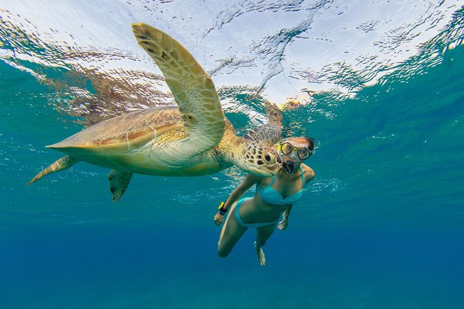 50' Luxury Yacht. Private Full or Half Day Catamaran Snorkel, & Beach Experience - Choosing Half Day or Full Day