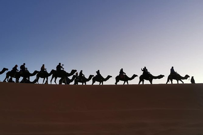 7 Days Discovery The Atlas Mountains & Luxury Sahara Desert From Casablanca - Day 7: Returning to Casablanca airport