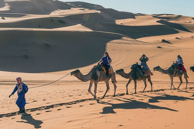 7 Days Luxury Desert Tour From Casablanca to Marrakech via fez -Camel trekking - Day 7: Your airport transfer and final arrangements