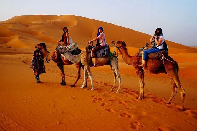 7 Days Luxury Desert Tour From Casablanca to Marrakech via fez -Camel trekking - What the $1,395.78 price includes