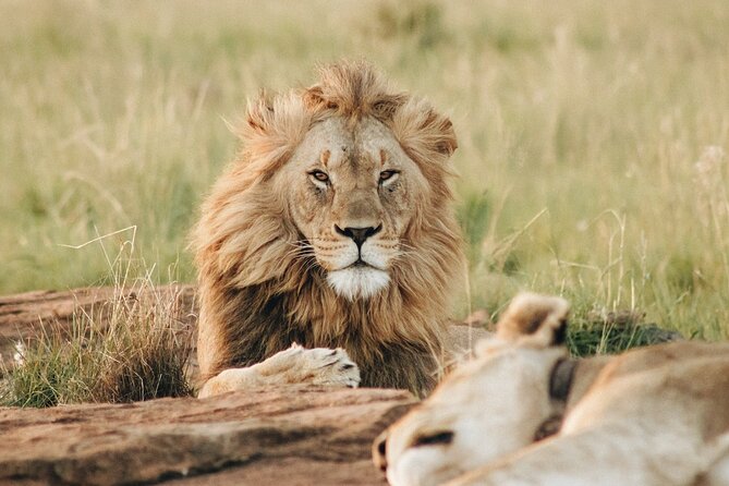7 Days Tanzania Luxury Safaris - Day 5: leaving the Serengeti for Ngorongoro