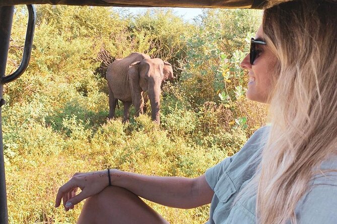 7 Days Tour in Sri Lanka Hotels with Breakfast and Luxury Car - What this seven-day Sri Lanka route does best
