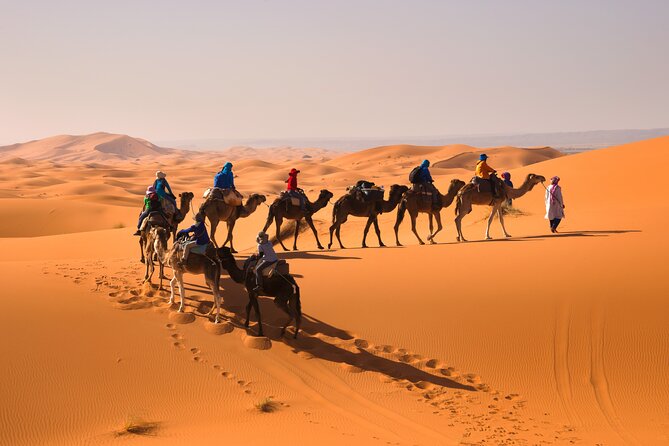 8D Morocco Luxury Private Tour From Casablanca By Imperial Cities - Day 2: Chefchaouen, Volubilis, and Meknes