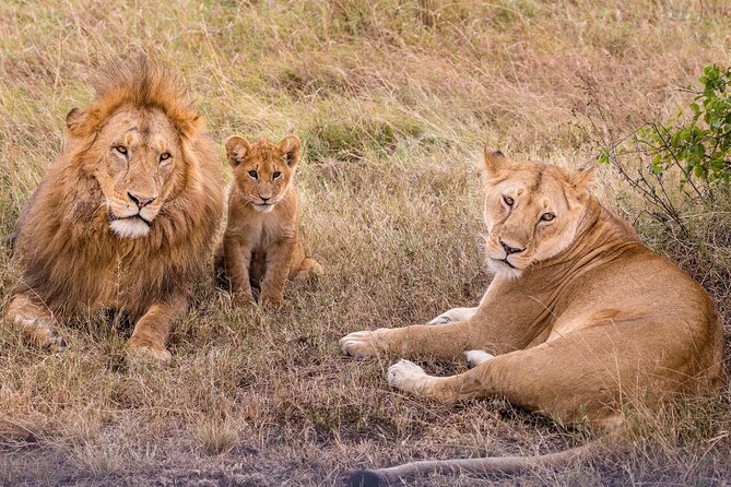 9-Day Ultimate Tanzania Honeymoon Safari Luxury Package - Day 1: A soft landing in Arusha