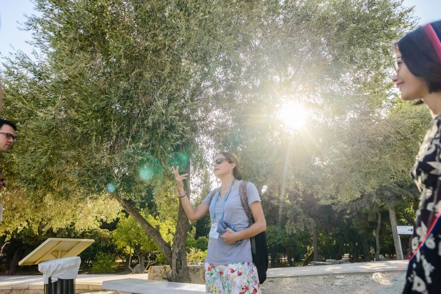 Acropolis: Premium Acropolis and Parthenon Guided Tour - The Theatre of Dionysus and the story of drama
