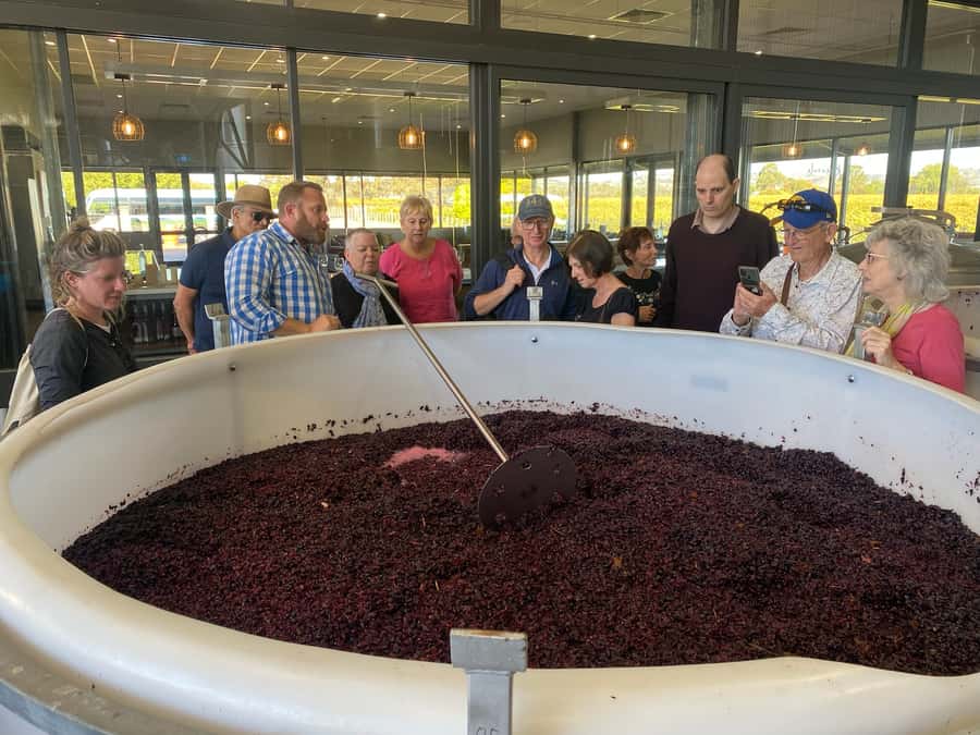 Adelaide: Barossa Premium Wine Tasting tour & Winery Lunch - Rosenvale offers the most intimate tasting