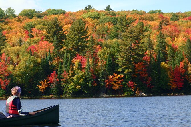 Algonquin Park 3-Day Deluxe Camping & Canoeing Adventure - Key points for your Algonquin canoe trip