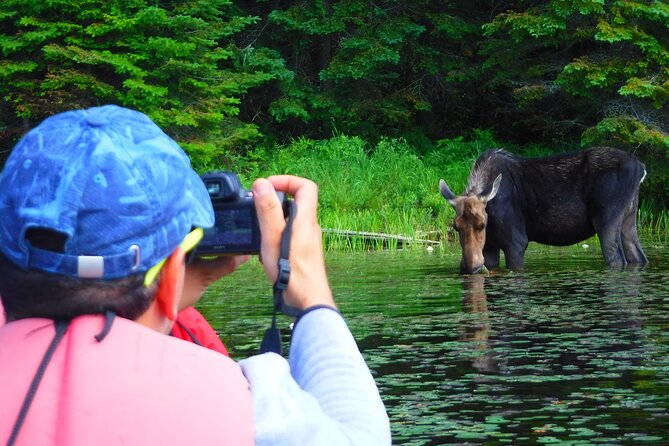Algonquin Park 3-Day Deluxe Camping & Canoeing Adventure - What $368 buys you in Algonquin Park