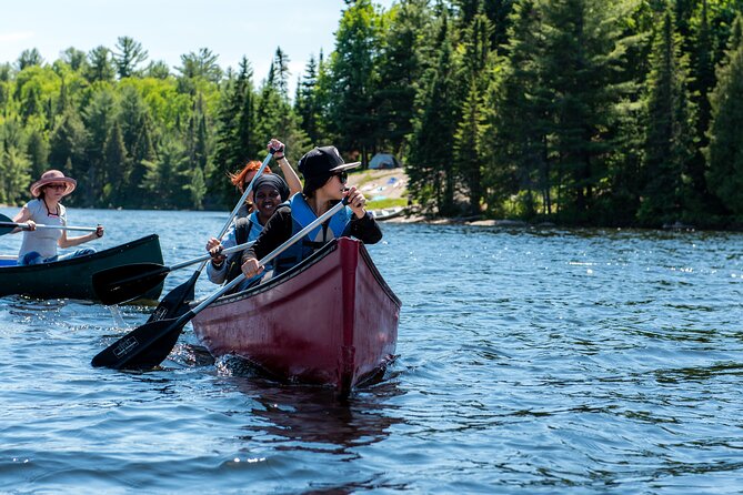 Algonquin Park 3-Day Deluxe Camping & Canoeing Adventure - Should you book it?