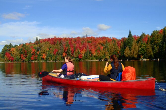 Algonquin Park 4-Day Deluxe Camping & Canoeing Adventure - Three Hours Into Algonquin Backcountry
