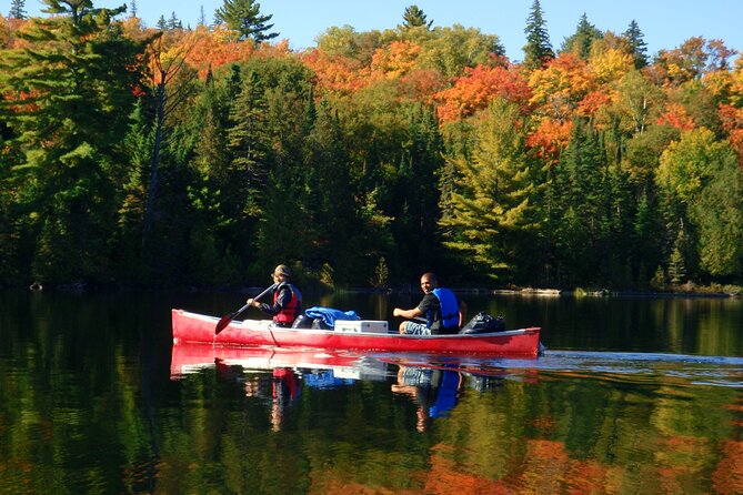 Algonquin Park 4-Day Deluxe Camping & Canoeing Adventure - A Camp Kitchen That Takes the Edge Off