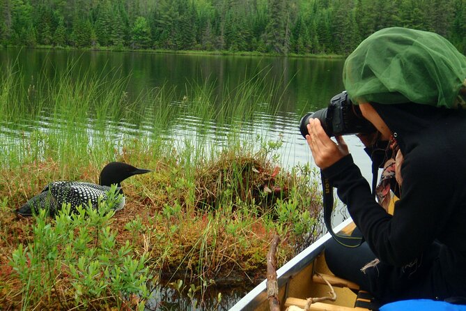 Algonquin Park 4-Day Deluxe Camping & Canoeing Adventure - Sunrise Hot Chocolate Before the Paddle Home