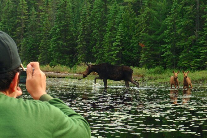 Algonquin Park 4-Day Deluxe Camping & Canoeing Adventure - What Camping Comfort Really Means Here