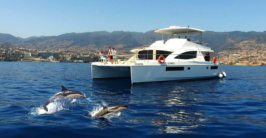 All Inclusive Whale and Dolphin Watching Luxury Tour - Key points to know before booking