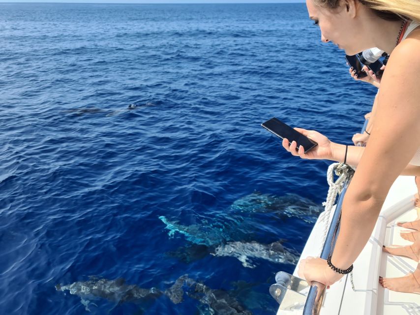 All Inclusive Whale and Dolphin Watching Luxury Tour - Should you book the Cabo Girão catamaran?